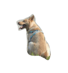 Slippers dog（個別スタンプ：2）