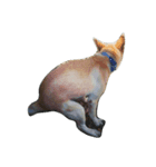 Slippers dog（個別スタンプ：7）
