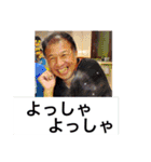 BOBgaippai（個別スタンプ：19）
