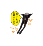 MixJyuri（個別スタンプ：4）
