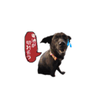 MixJyuri（個別スタンプ：12）