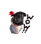 MixJyuri（個別スタンプ：23）