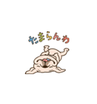 ボム＆フレンズ 楽しい日常（個別スタンプ：24）