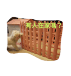 YA's（個別スタンプ：7）