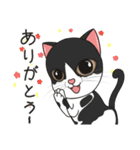 猫親バカ目線 - 第一弾 (日本語)（個別スタンプ：2）