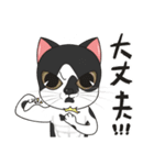 猫親バカ目線 - 第一弾 (日本語)（個別スタンプ：3）