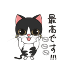 猫親バカ目線 - 第一弾 (日本語)（個別スタンプ：8）