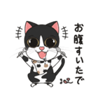 猫親バカ目線 - 第一弾 (日本語)（個別スタンプ：13）