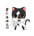 猫親バカ目線 - 第一弾 (日本語)（個別スタンプ：18）