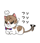 猫親バカ目線 - 第一弾 (日本語)（個別スタンプ：21）