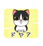 猫親バカ目線 - 第一弾 (日本語)（個別スタンプ：27）