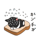 猫親バカ目線 - 第一弾 (日本語)（個別スタンプ：32）