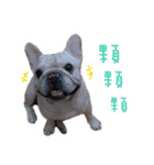 French Bulldog Three Brothers（個別スタンプ：15）