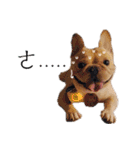 French Bulldog Three Brothers（個別スタンプ：26）