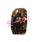 づきさんとゆかいな仲間たち（個別スタンプ：14）