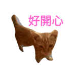 cute so cat（個別スタンプ：2）