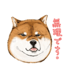 今日の太い柴犬、日本語（個別スタンプ：22）