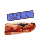 Ming_Han life（個別スタンプ：12）