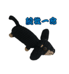 Wool Dachshund day（個別スタンプ：5）