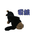 Wool Dachshund day（個別スタンプ：9）