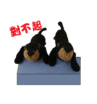 Wool Dachshund day（個別スタンプ：13）