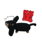 Wool Dachshund day（個別スタンプ：22）