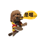 mei-mei dog（個別スタンプ：16）