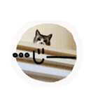 にゃー(ずび)※猫です（個別スタンプ：4）