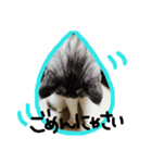 にゃー(ずび)※猫です（個別スタンプ：9）