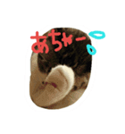 にゃー(ずび)※猫です（個別スタンプ：14）