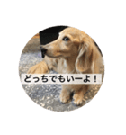 れんのすけ（個別スタンプ：6）