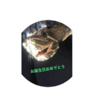 ちょびの日常 2（個別スタンプ：5）