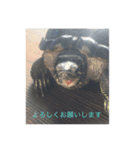 ちょびの日常 2（個別スタンプ：6）