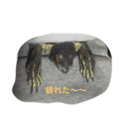 ちょびの日常 2（個別スタンプ：8）