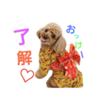 マル家のりんちゃん（個別スタンプ：2）