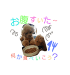 マル家のりんちゃん（個別スタンプ：11）