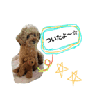 マル家のりんちゃん（個別スタンプ：17）