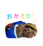 マル家のりんちゃん（個別スタンプ：18）