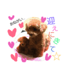 マル家のりんちゃん（個別スタンプ：23）