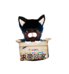 Happy baby and cat（個別スタンプ：8）
