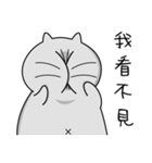 Gray cat- Daily life PART1（個別スタンプ：5）