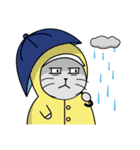 Gray cat- Daily life PART1（個別スタンプ：20）