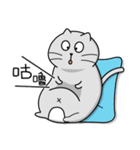Gray cat- Daily life PART1（個別スタンプ：25）