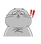 Gray cat- Daily life PART1（個別スタンプ：30）