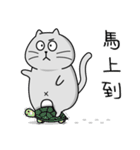 Gray cat- Daily life PART1（個別スタンプ：33）