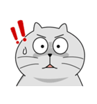 Gray cat- Daily life PART1（個別スタンプ：38）