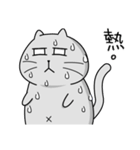 Gray cat- Daily life PART1（個別スタンプ：40）