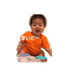 とらじなる（個別スタンプ：3）