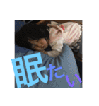 かんかん2（個別スタンプ：6）