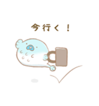 フグちゃん（個別スタンプ：34）